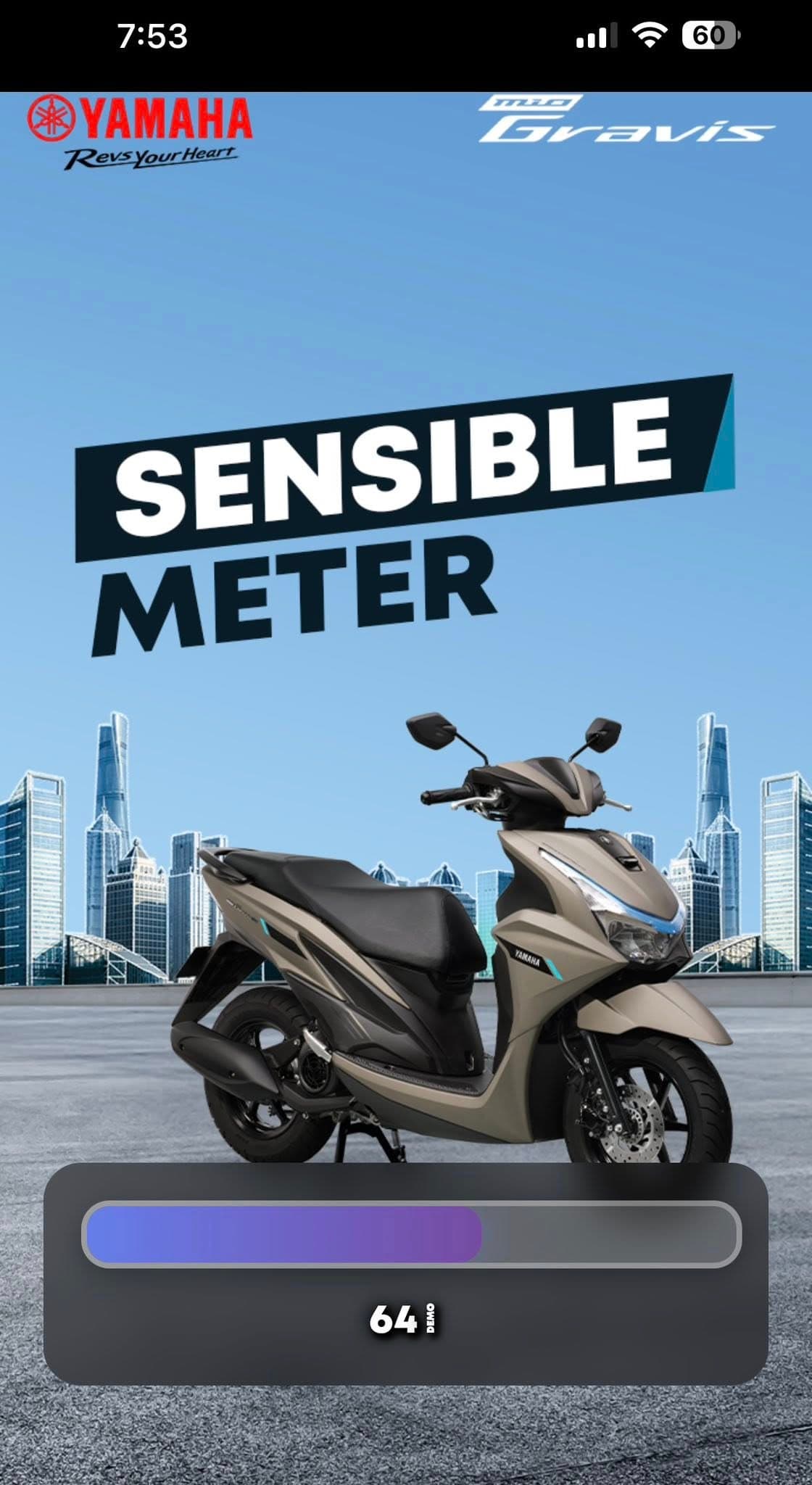 Sensible Meter Game